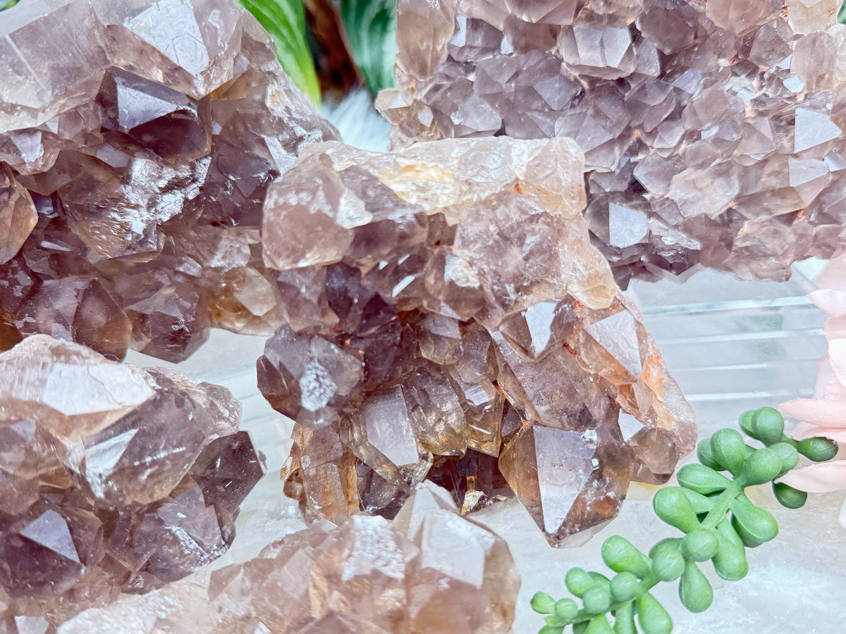 Smoky Quartz Clusters