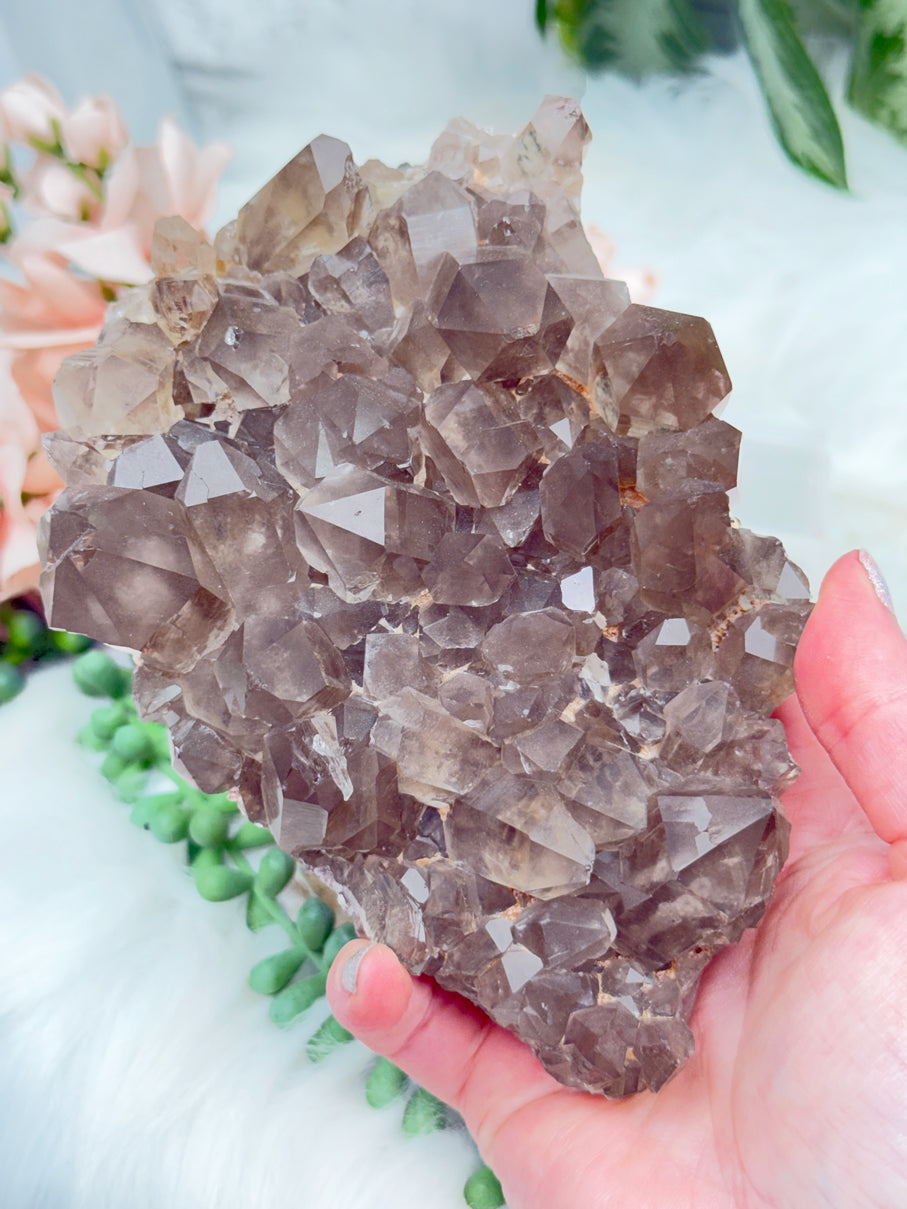 Smoky Quartz Clusters