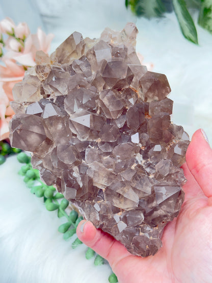 Smoky Quartz Clusters