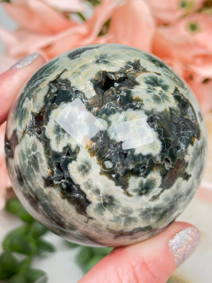Colorful Ocean Jasper Spheres