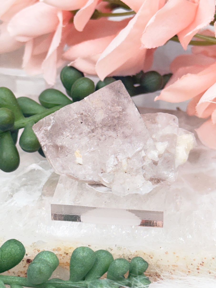 Small Unique Fluorite Specimens