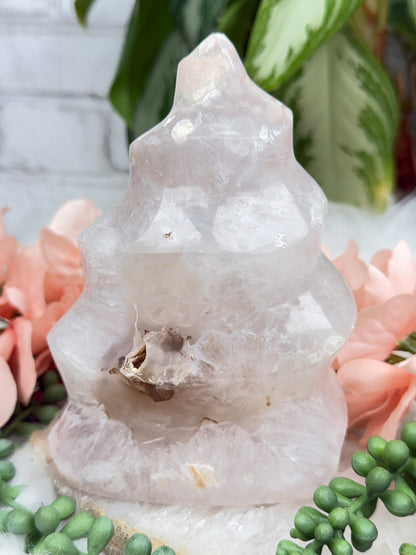 Flower Agate Flames