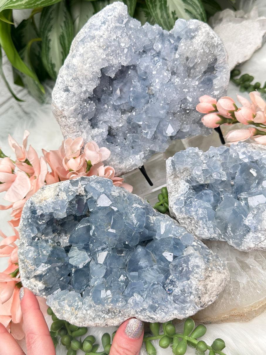 Blue Celestite Geodes for Sale - Choose Exact – Contempo Crystals