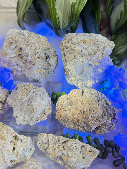 Brown Fluorite Celestite