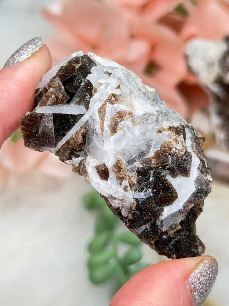 Brown Fluorite Celestite