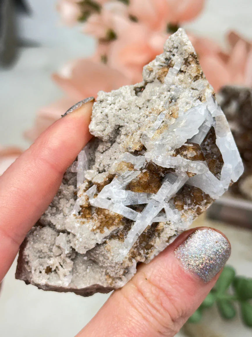 Brown Fluorite Celestite