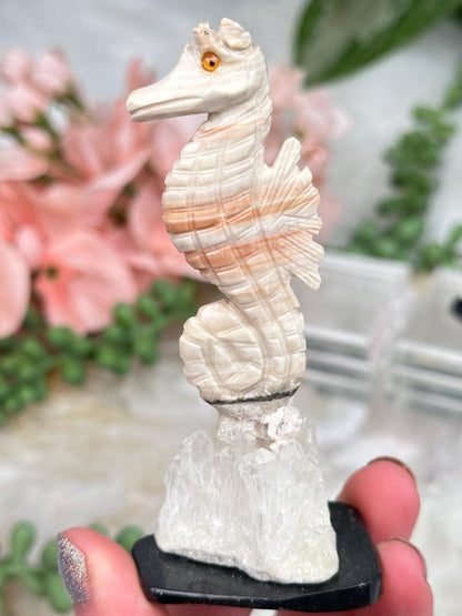 carved-seahorse-crystals