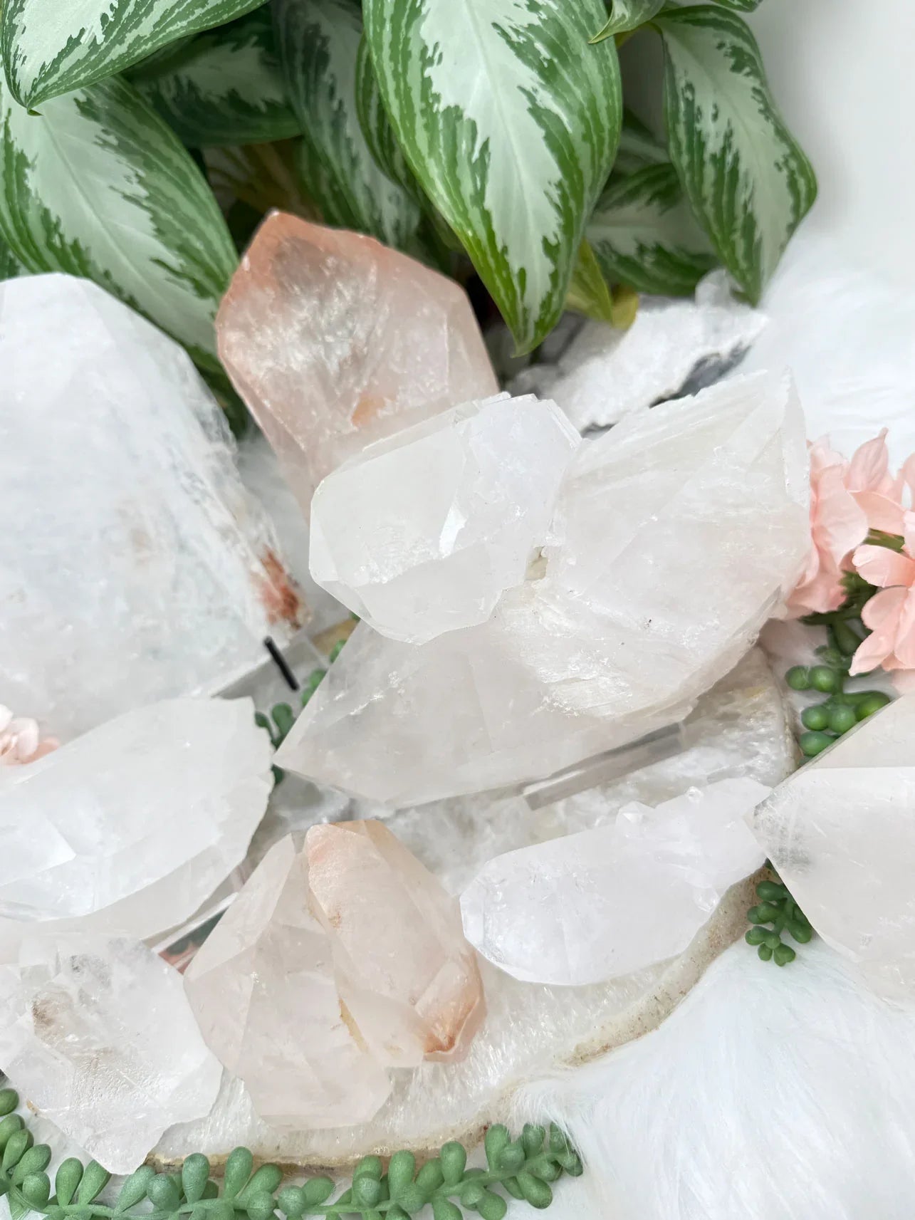 Large Brazil Quartz Crystals