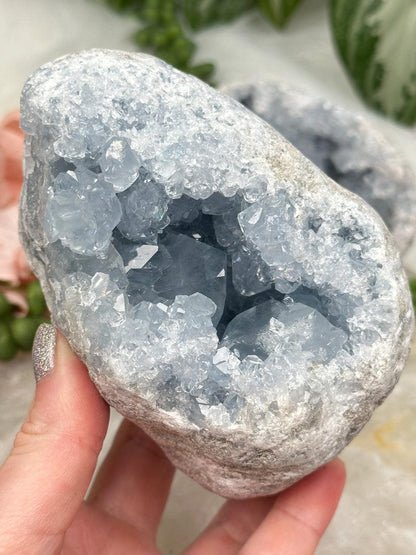 Blue Celestite Clusters