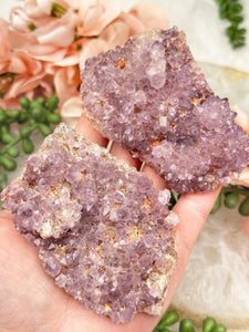 Contempo Crystals - madagascar-amethyst-clusters-for-sale - Image 5