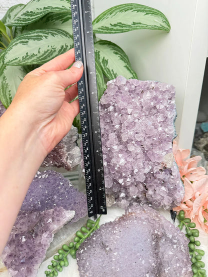 Unique Amethyst Crystal Clusters