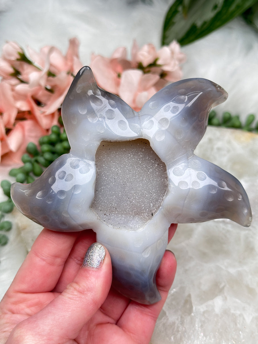 agate-starfish-crystals