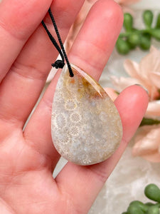 Contempo Crystals - light-fossil-coral-pendant - Image 4