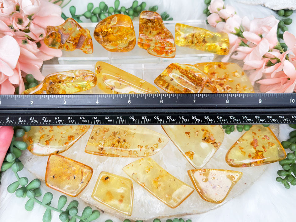 natural-amber-with-insects