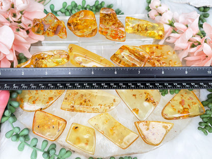 natural-amber-with-insects