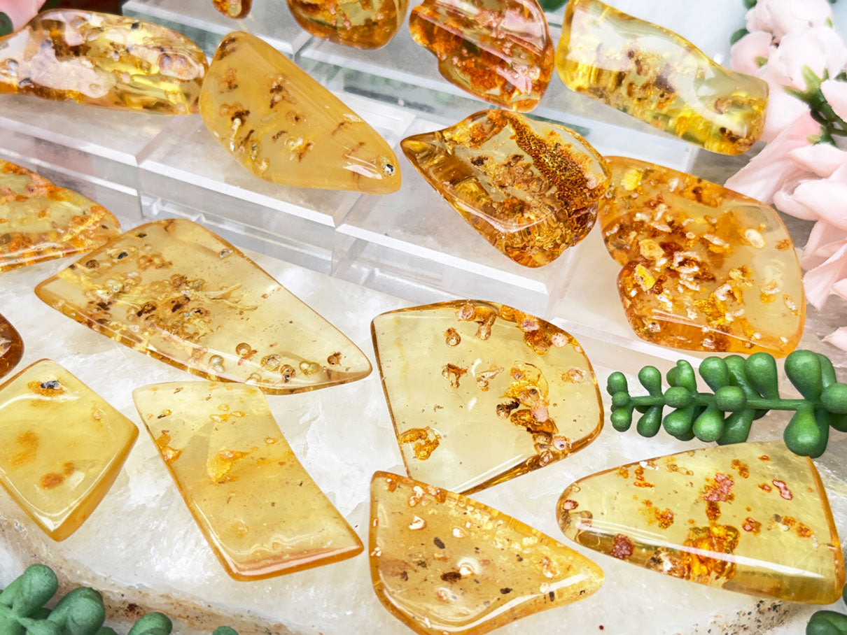 Colombian Amber with Insects