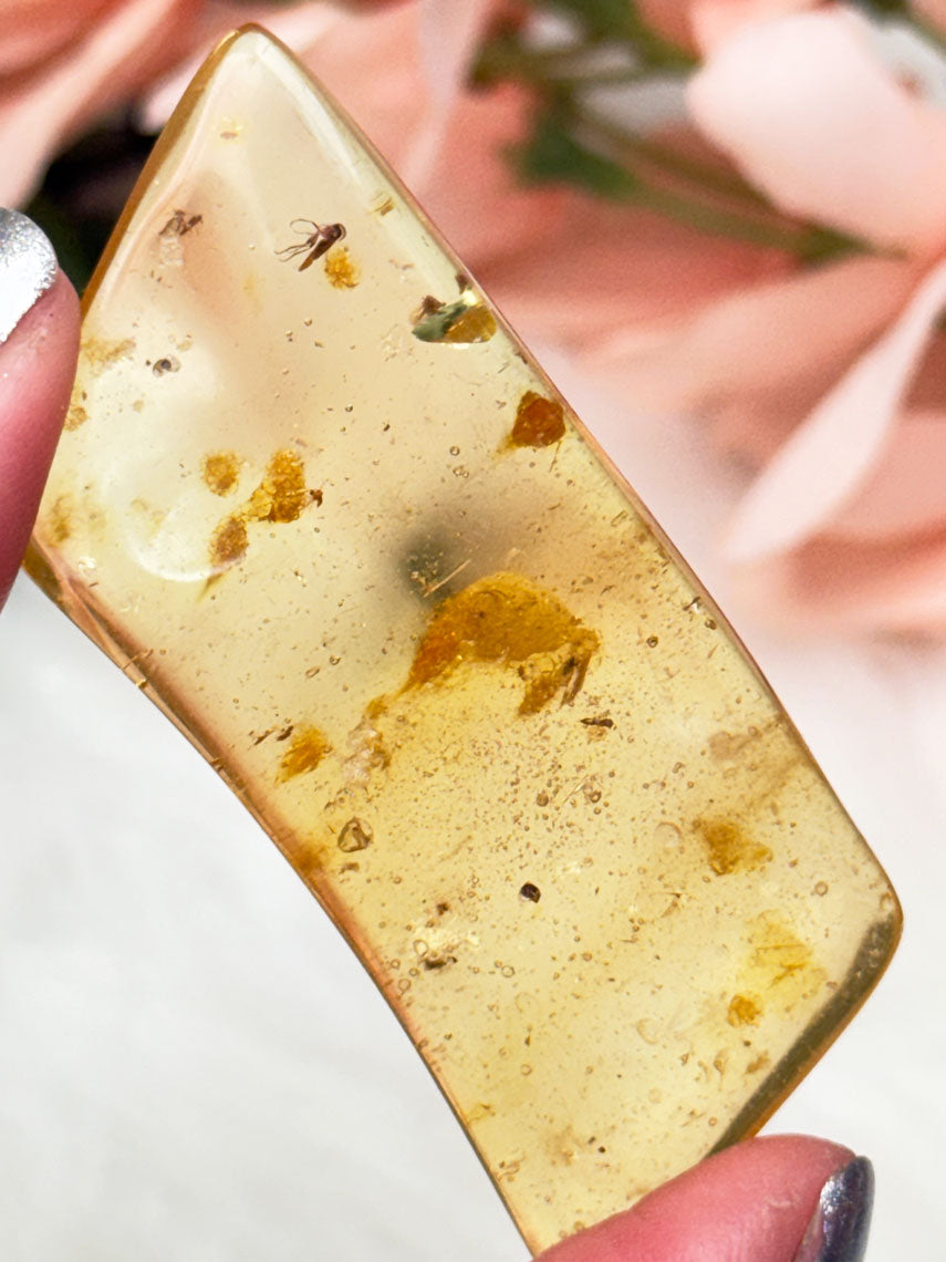 natural-amber-with-insects