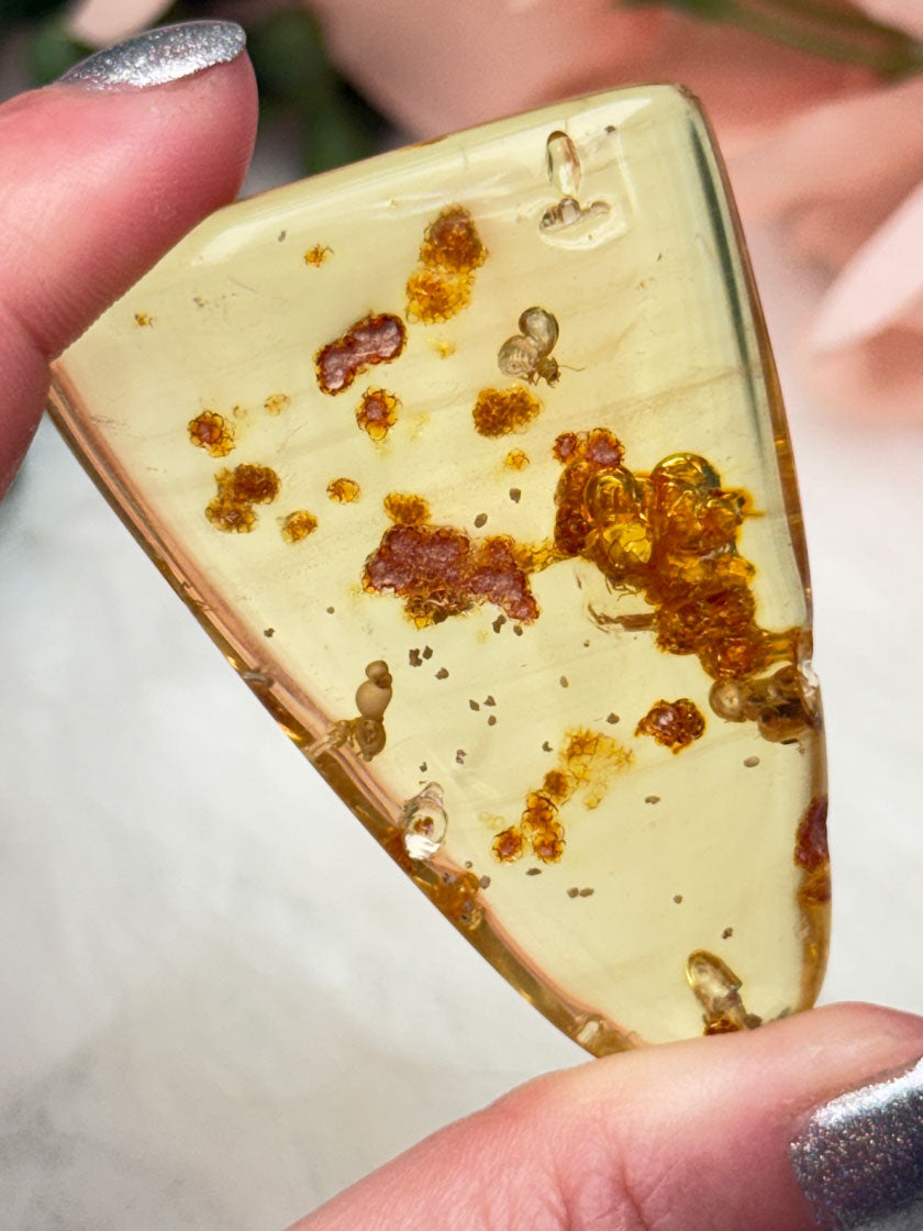 insects-inside-natural-amber