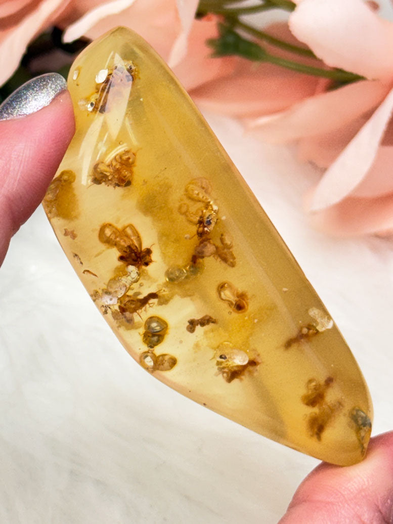 colombian-amber-with-bugs