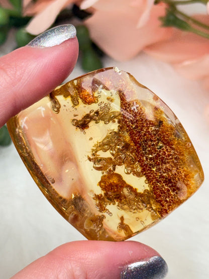 Colombian Amber with Insects