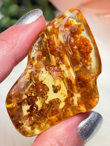 Colombian Amber with Insects