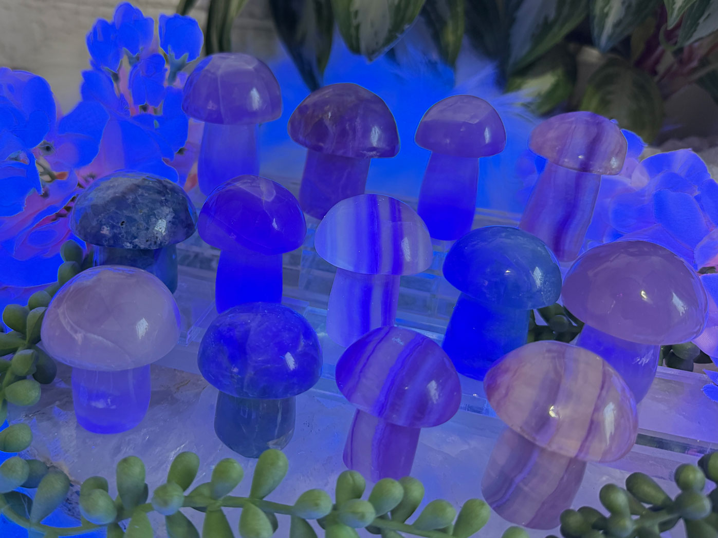 fluorite-crystal-mushrooms