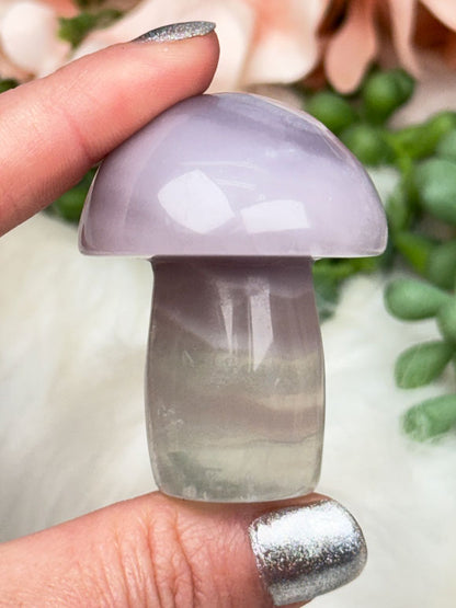 Fluorite Crystal Mushrooms