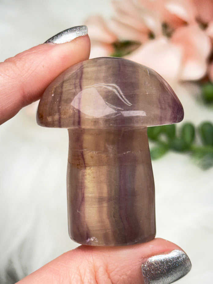 purple-green-fluorite-mushroom