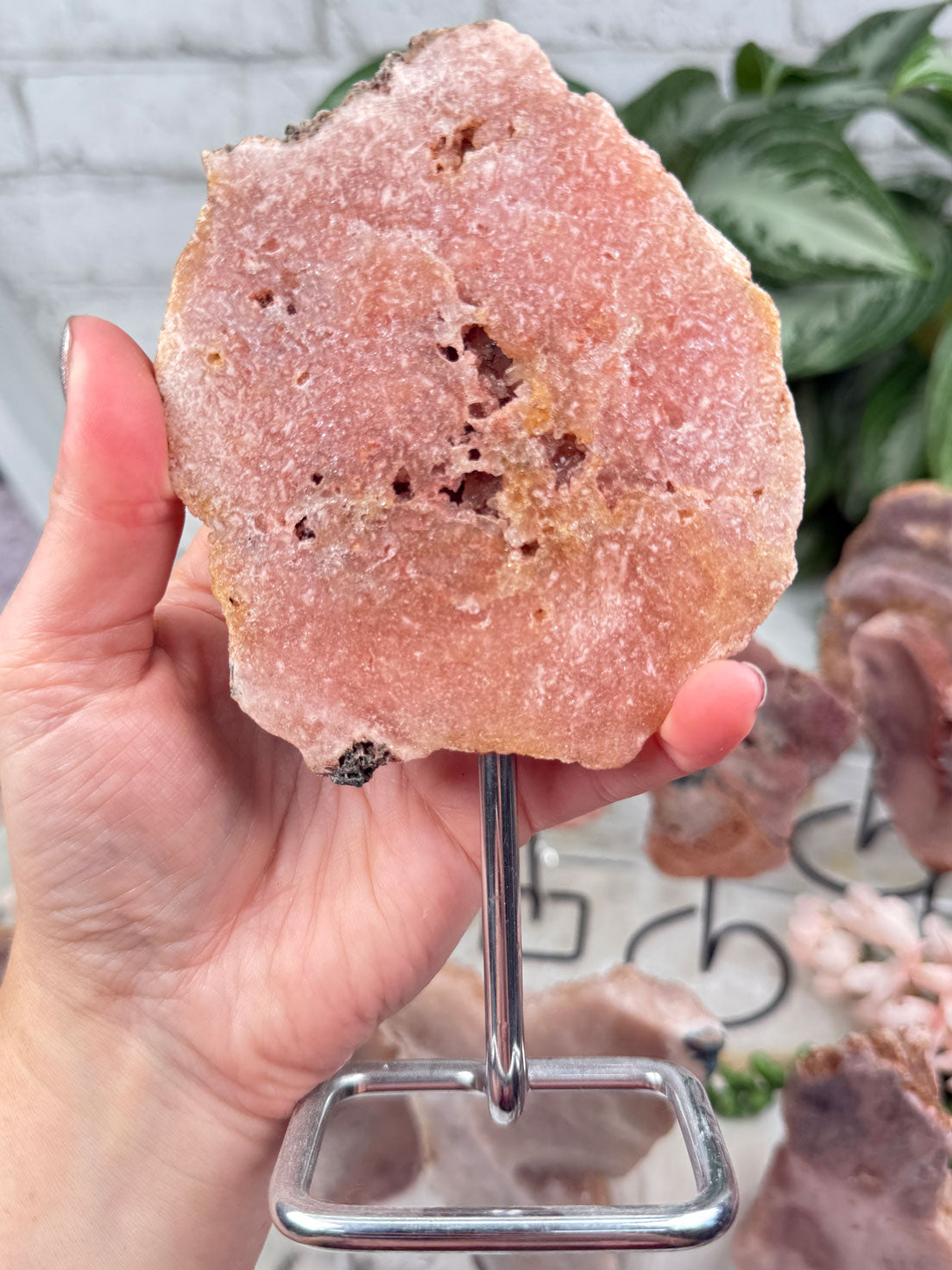 Brazil Pink Amethyst on Stands