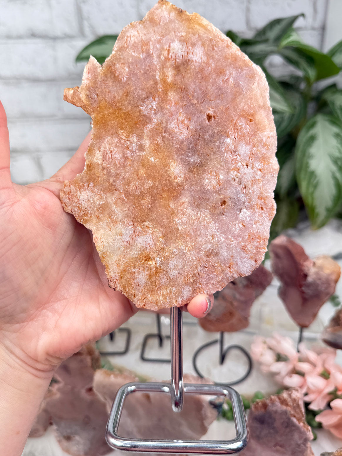 pink-amethyst-crystals-on-stands