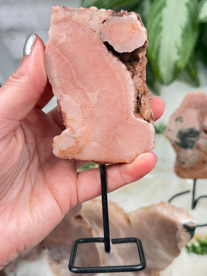 Brazil Pink Amethyst on Stands