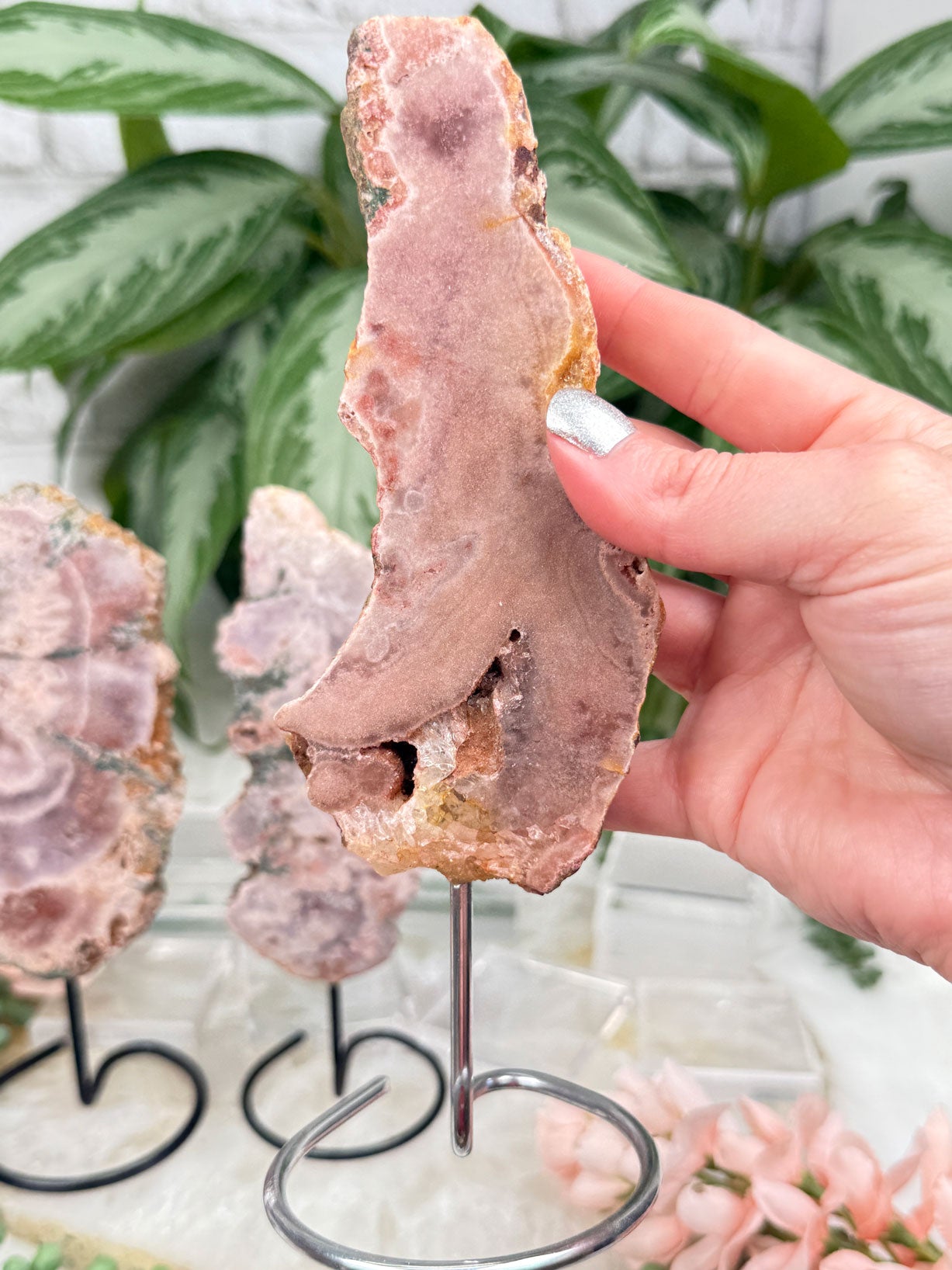 Brazil Pink Amethyst on Stands