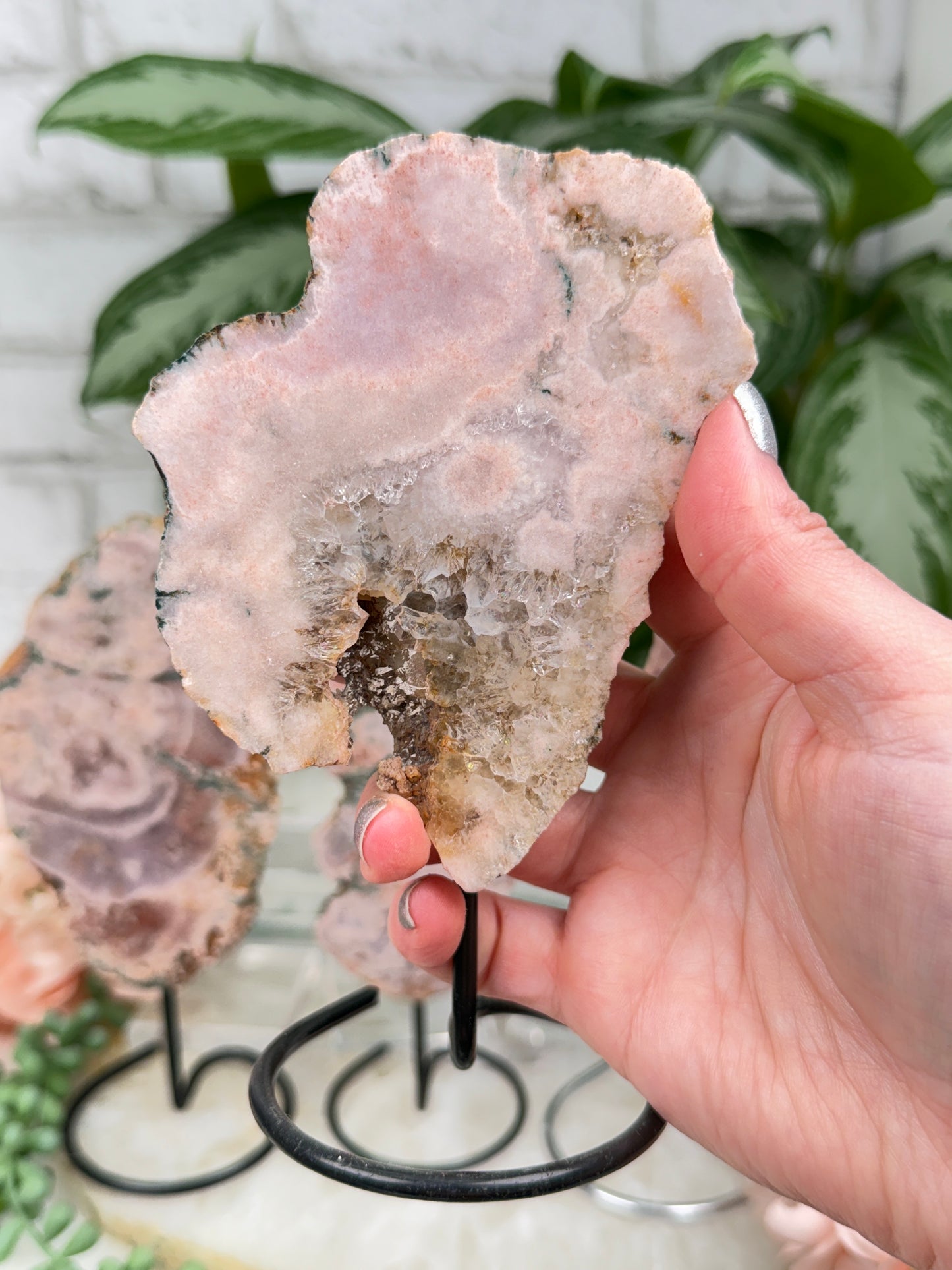 Brazil Pink Amethyst on Stands