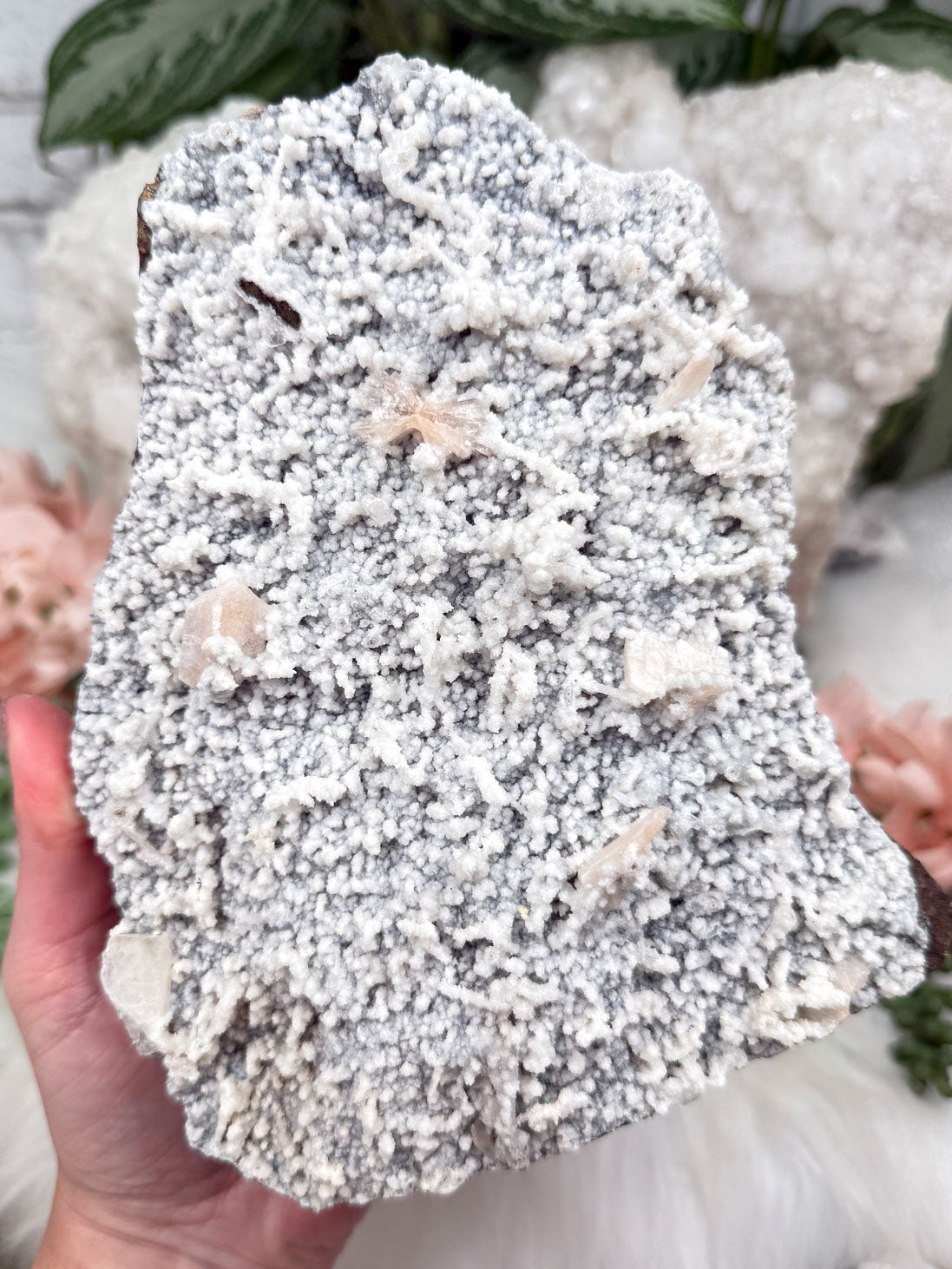 large-apophyllite-and-zeolite-crystals