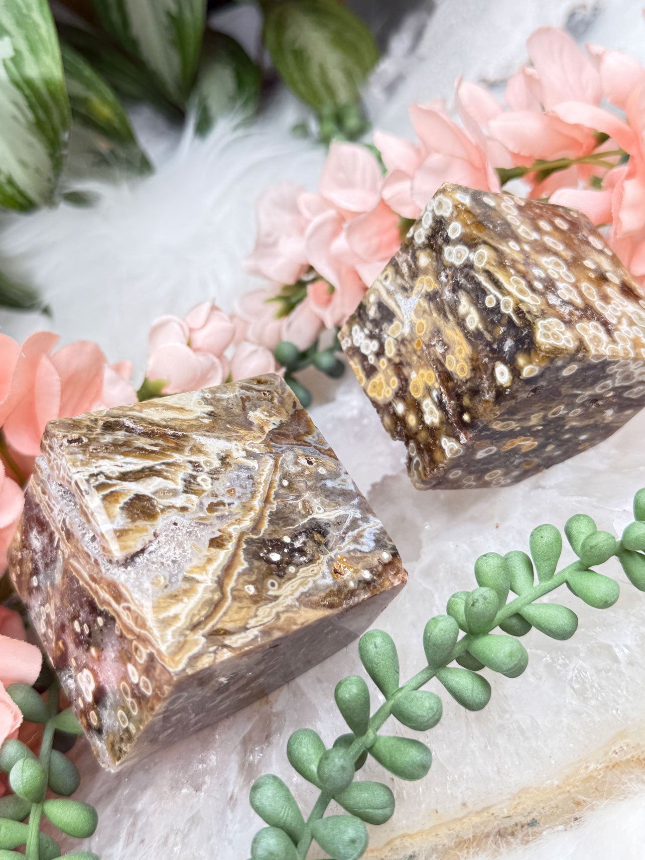 orbicular-ocean-jasper-angle-cubes