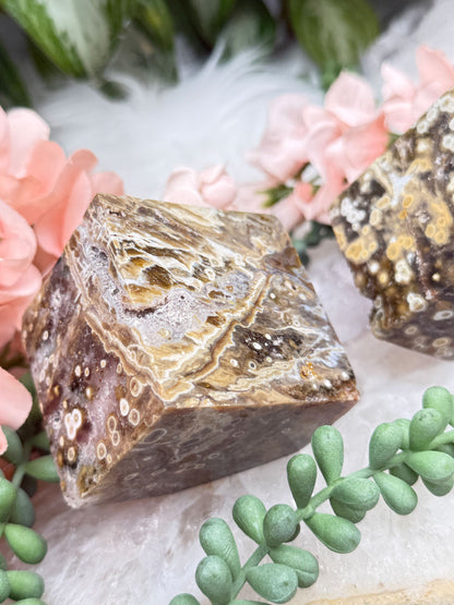 orbicular-ocean-jasper-angle-cubes