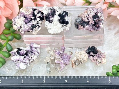 Namibia Purple Fluorite Specimens