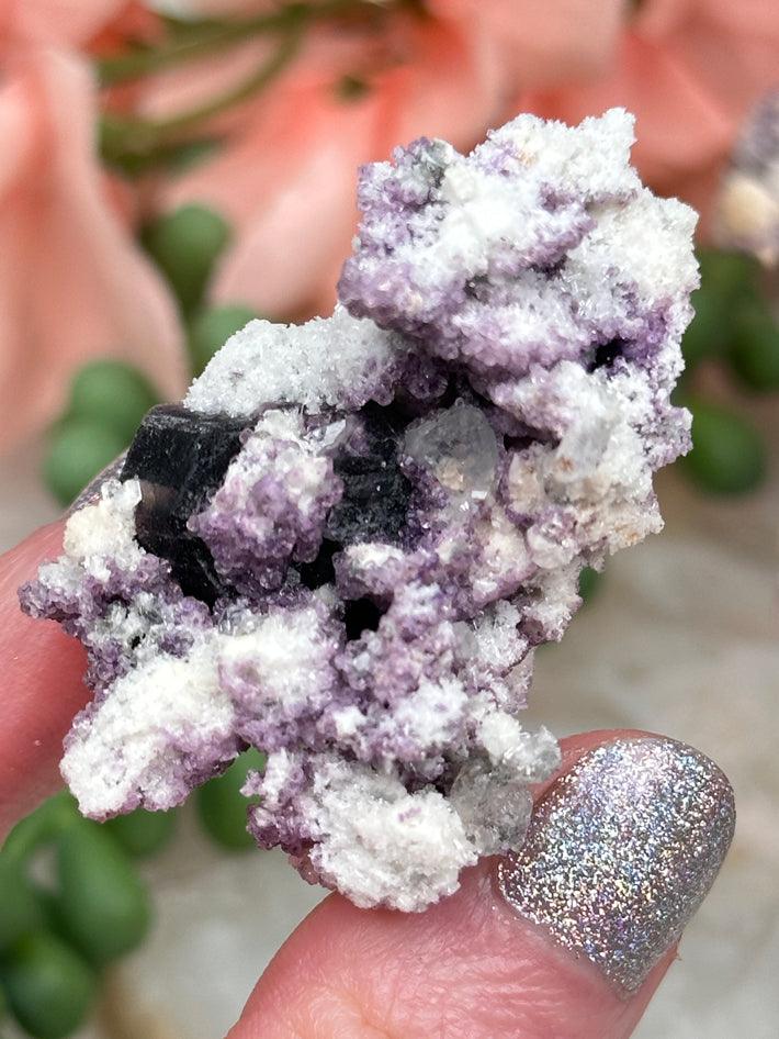 Namibia Purple Fluorite Specimens