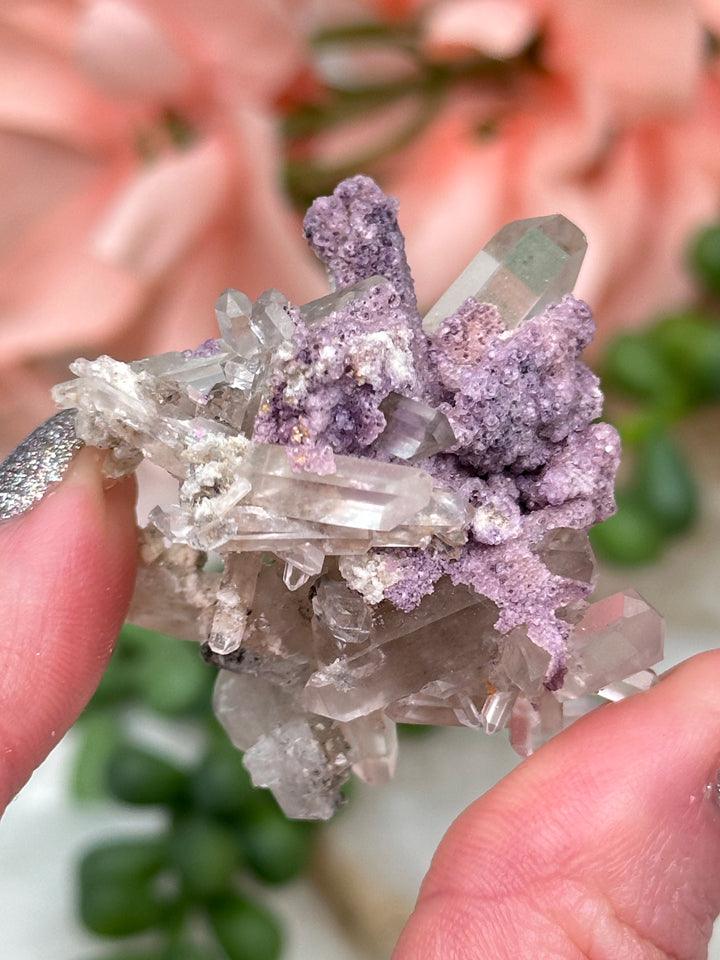 Namibia Purple Fluorite Specimens