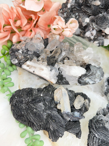Hematite Rose & Quartz Clusters