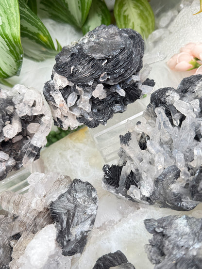 rare-quartz-hematite-rose-clusters-black-white