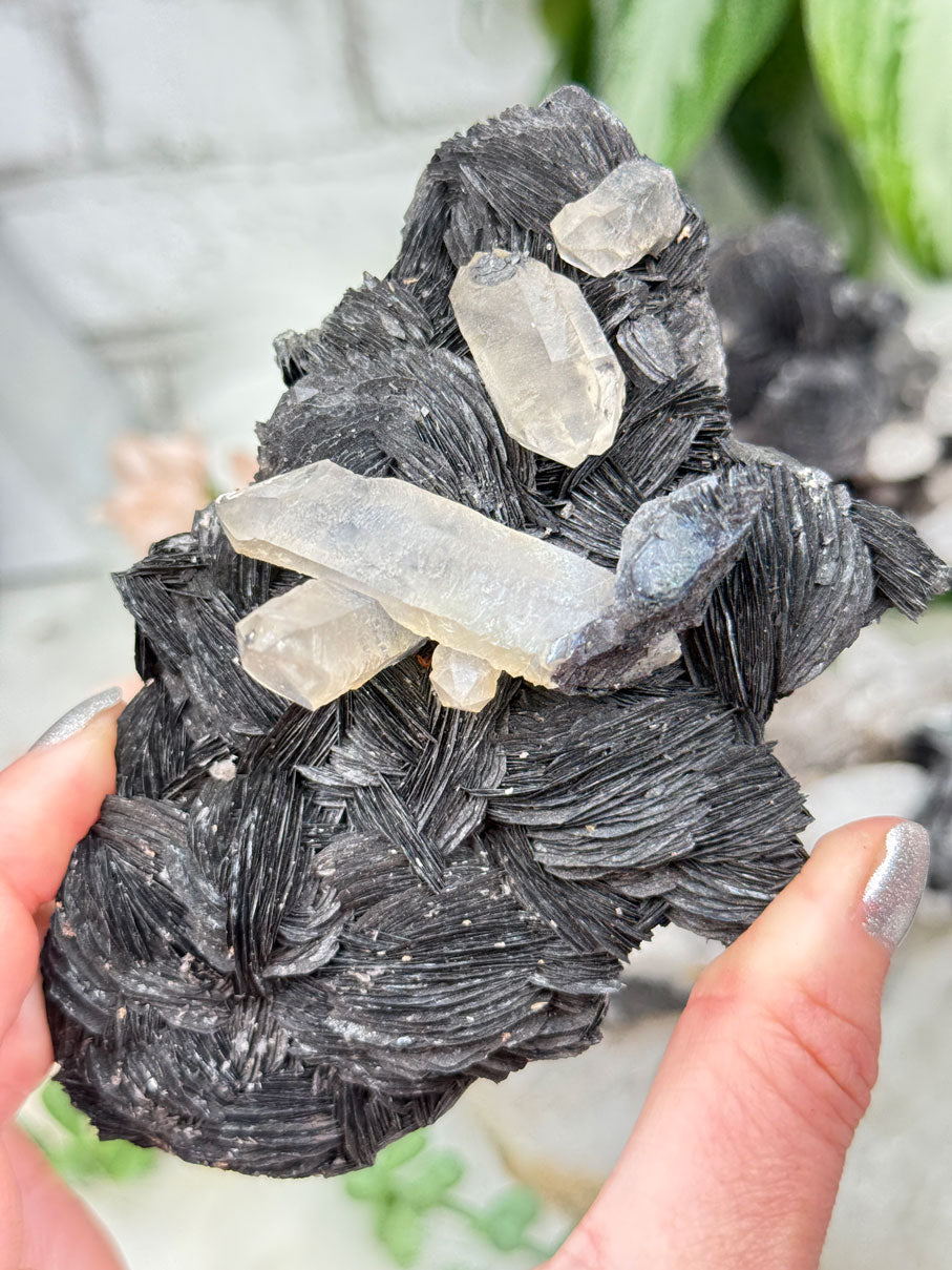 Hematite Rose & Quartz Clusters