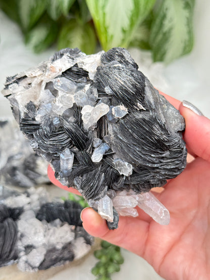 rare-quartz-hematite-rose-clusters-black-white