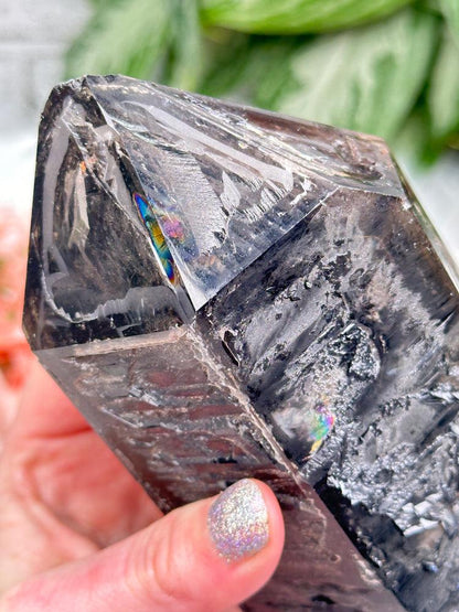 Malawi Smoky Quartz Point