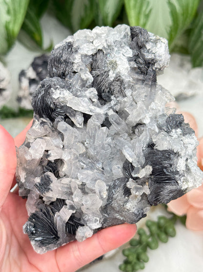 rare-quartz-hematite-rose-clusters-black-white