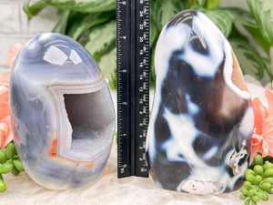 Contempo Crystals - large-black-white-orca-agate-freeform - Image 9