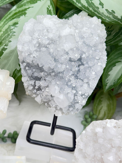 Apophyllite Displays