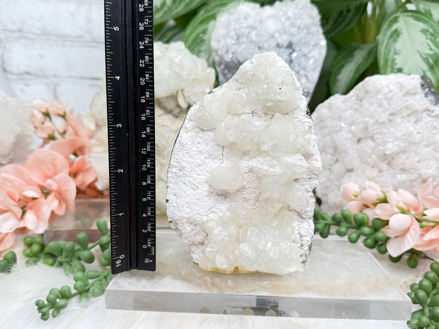 Apophyllite Displays