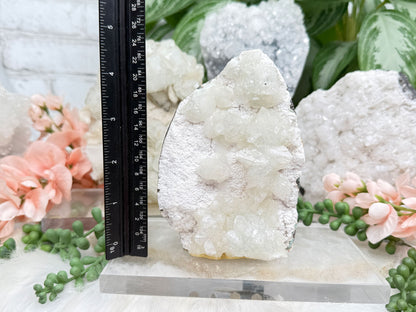 Apophyllite Displays