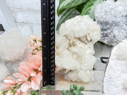 Apophyllite Displays